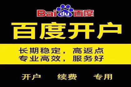 百度竞价转化率提升策略：案例分析及实操步骤
